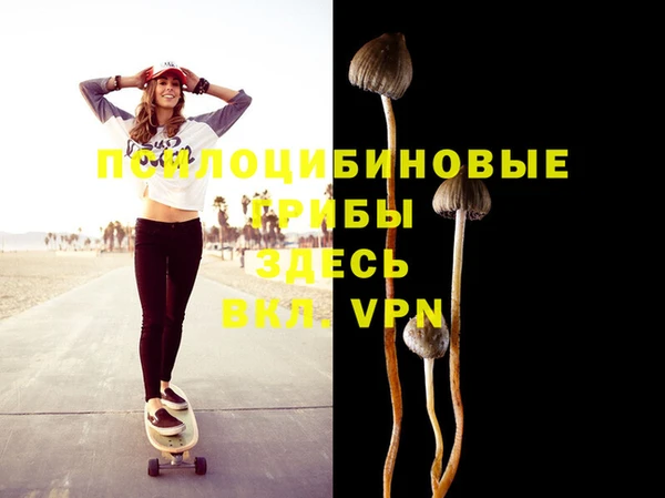 PSILOCYBIN Арсеньев